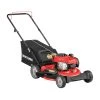 CRAFTSMAN Lawn Mowers M110 140-cc 21-in Gas Push Lawn Mower Briggs & Stratton Engine