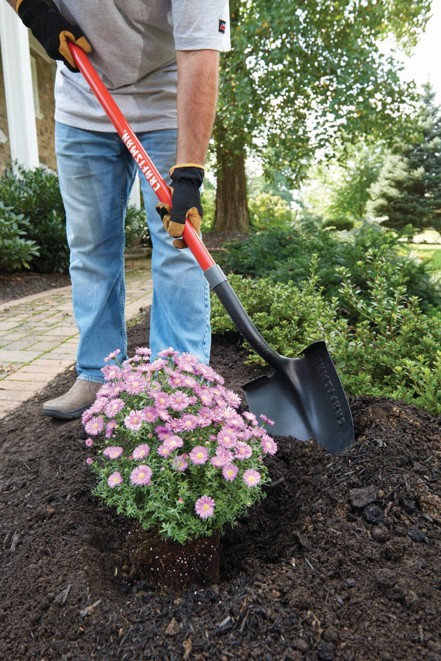 CRAFTSMAN Lawn & Garden Hand Tools 55-in Fiberglass Handle Digging Shovel 3 CRAFTSMAN Lawn & Garden Hand Tools 55-in Fiberglass Handle Digging Shovel - Image 3