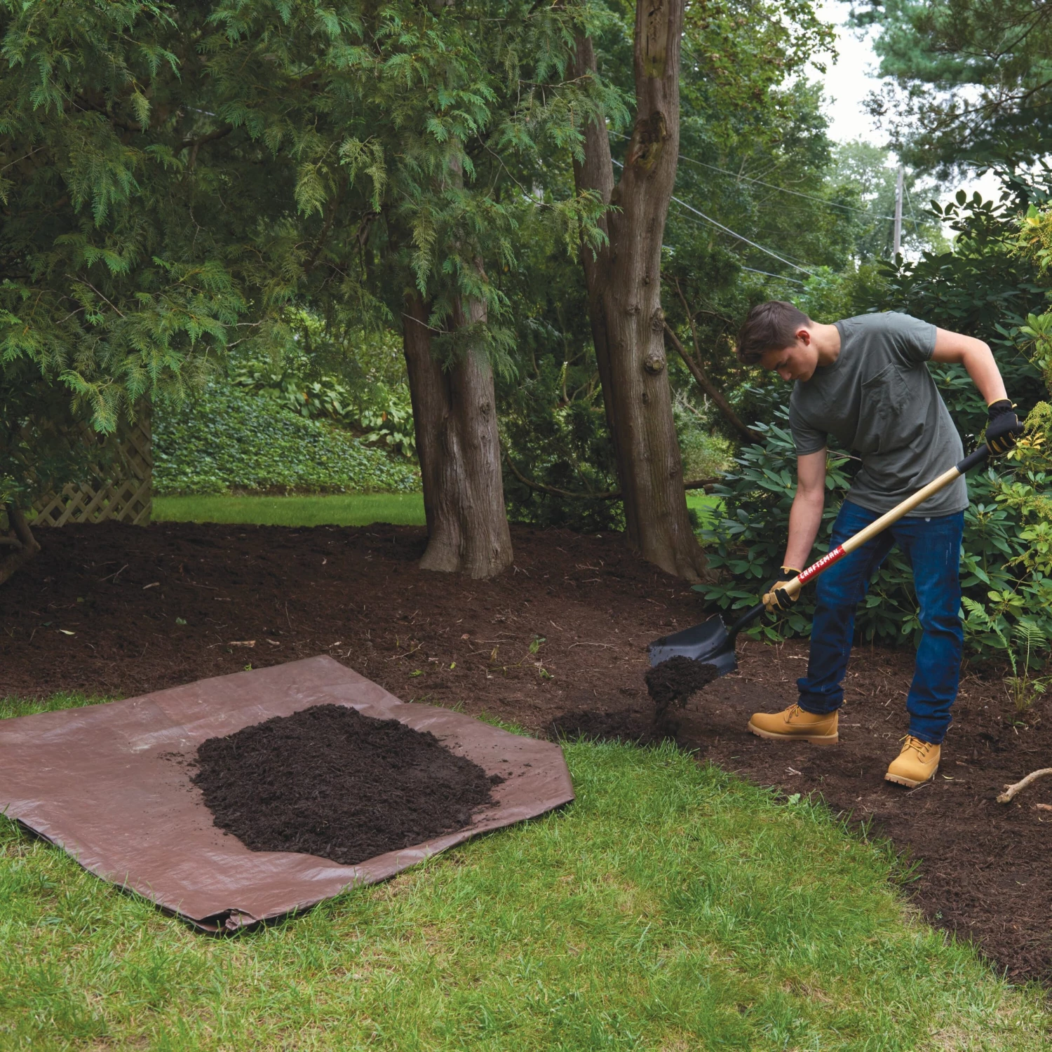 CRAFTSMAN Lawn & Garden Hand Tools 44-in Wood Handle Transfer Shovel 4 CRAFTSMAN Lawn & Garden Hand Tools 44-in Wood Handle Transfer Shovel - Image 4