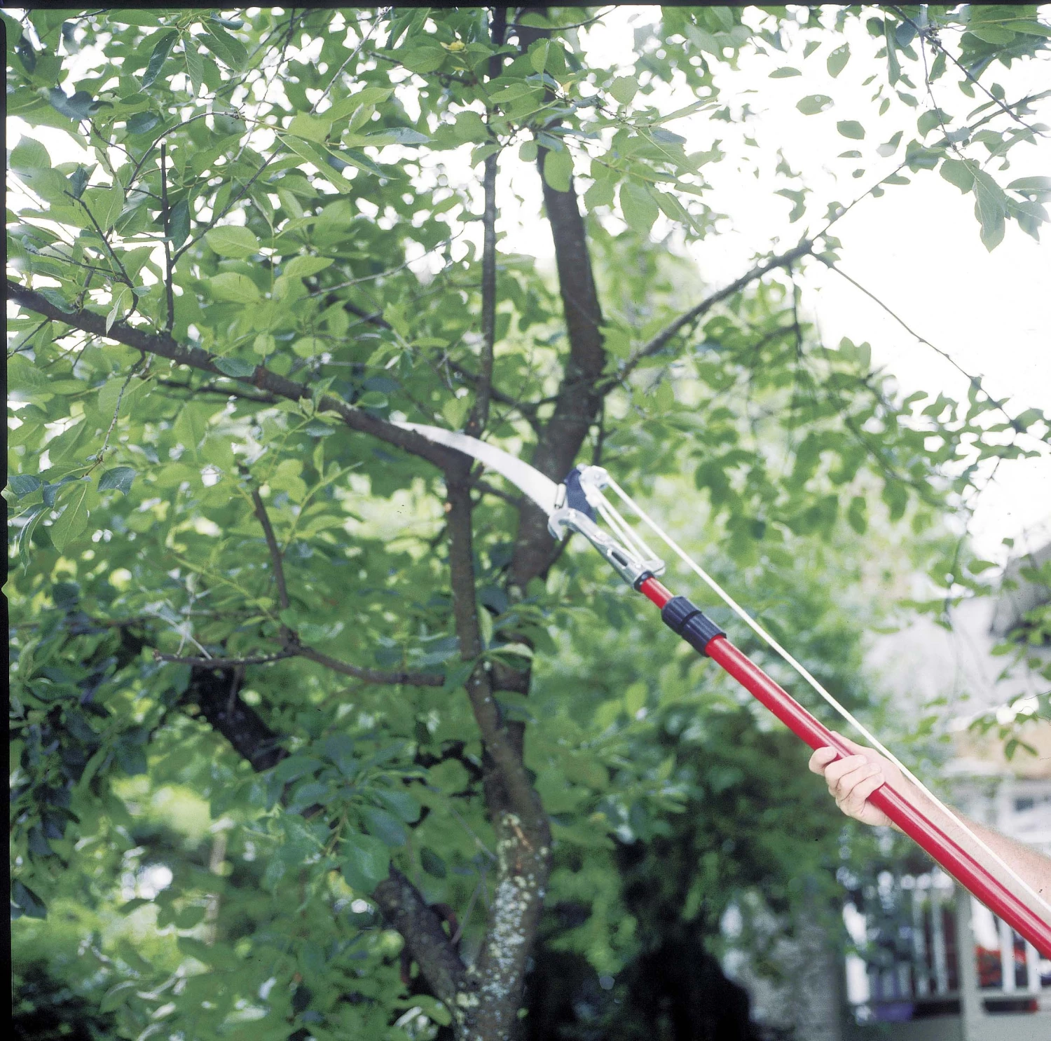 Corona Chainsaws & Pole Saws 14-ft Fiberglass Compound Bypass Pole Pruner 2 Corona Chainsaws & Pole Saws 14-ft Fiberglass Compound Bypass Pole Pruner - Image 2