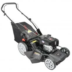 SENIX Lawn Mowers SENIX 4QL WB mowers 163-cc 20-in Gas Push Lawn Mower with Briggs & Stratton Engine