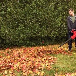 CRAFTSMAN Leaf Blowers 12-Amp 450-CFM 260-MPH Corded Electric Leaf Blower (Vacuum Kit Included) 29 CRAFTSMAN Leaf Blowers 12-Amp 450-CFM 260-MPH Corded Electric Leaf Blower (Vacuum Kit Included) -Outdoor Tools & Equipment Fashion Store 17124961