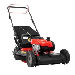 CRAFTSMAN Lawn Mowers M220 150-cc 21-in Gas Push Lawn Mower Briggs & Stratton Engine