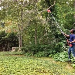 CRAFTSMAN Chainsaws & Pole Saws V20 20-Volt 8-in Cordless Electric Pole Saw (Battery Not Included) 22 CRAFTSMAN Chainsaws & Pole Saws V20 20-Volt 8-in Cordless Electric Pole Saw (Battery Not Included) -Outdoor Tools & Equipment Fashion Store 43185815