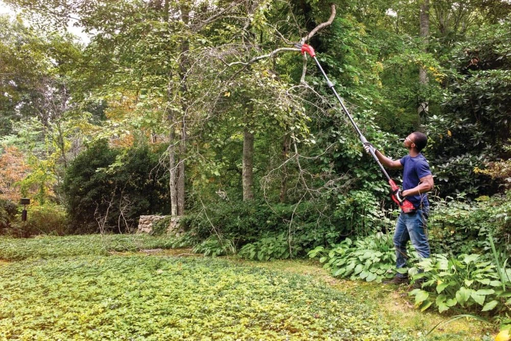 CRAFTSMAN Chainsaws & Pole Saws V20 20-Volt 8-in Cordless Electric Pole Saw (Battery Not Included) 10 CRAFTSMAN Chainsaws & Pole Saws V20 20-Volt 8-in Cordless Electric Pole Saw (Battery Not Included) - Image 10